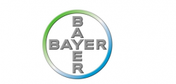 bayer